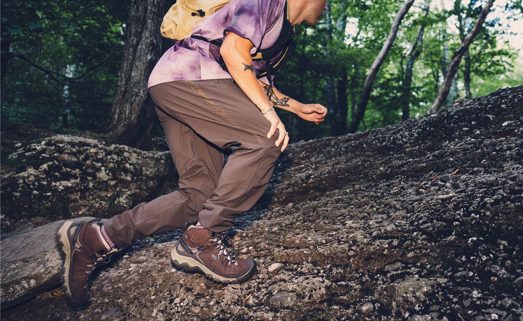 Men's Targhee IV Waterproof Hiking Boot | Java/Brindle - Image 7